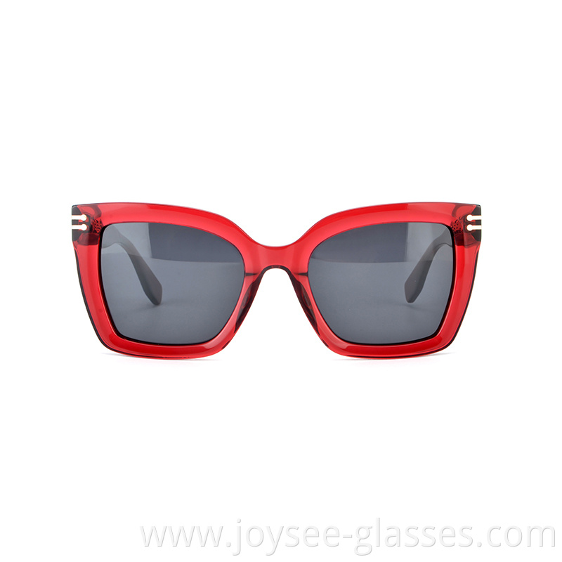 Acetate Sunnies 3